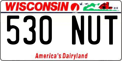 WI license plate 530NUT