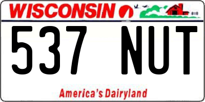 WI license plate 537NUT