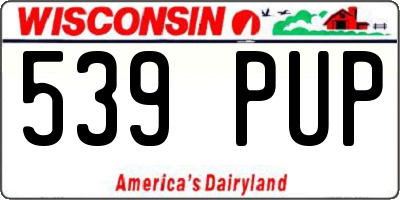 WI license plate 539PUP