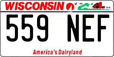 WI license plate 559NEF