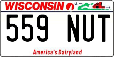 WI license plate 559NUT