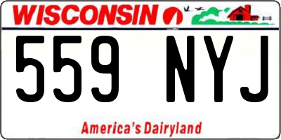WI license plate 559NYJ