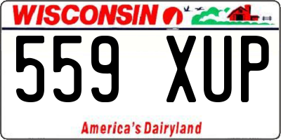 WI license plate 559XUP