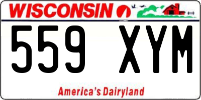 WI license plate 559XYM