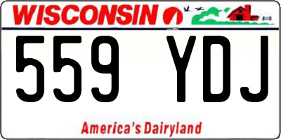 WI license plate 559YDJ