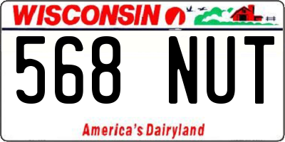 WI license plate 568NUT