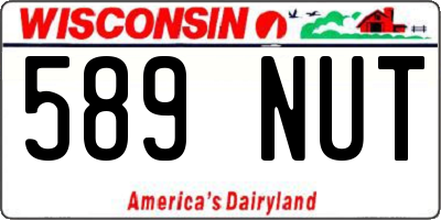WI license plate 589NUT