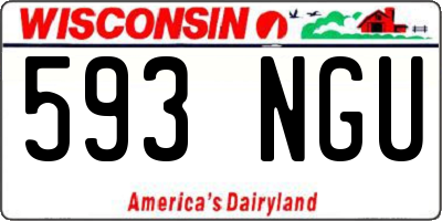 WI license plate 593NGU