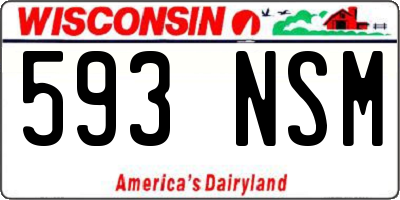 WI license plate 593NSM