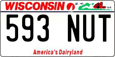 WI license plate 593NUT