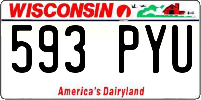 WI license plate 593PYU