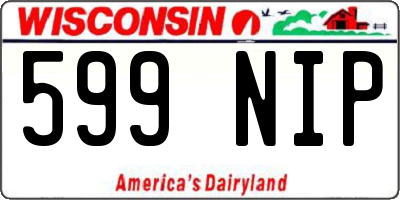 WI license plate 599NIP