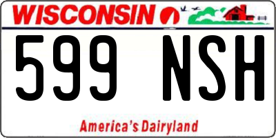 WI license plate 599NSH