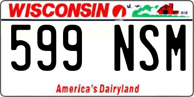 WI license plate 599NSM