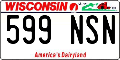 WI license plate 599NSN