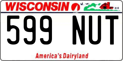 WI license plate 599NUT