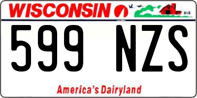 WI license plate 599NZS