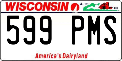 WI license plate 599PMS