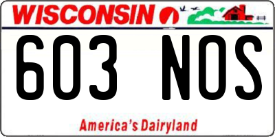 WI license plate 603NOS