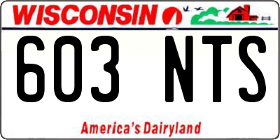 WI license plate 603NTS