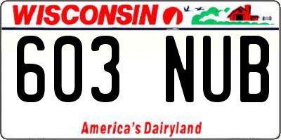 WI license plate 603NUB