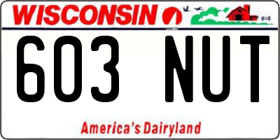 WI license plate 603NUT