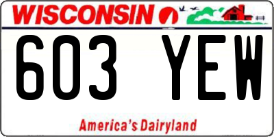 WI license plate 603YEW