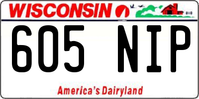 WI license plate 605NIP