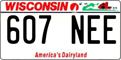 WI license plate 607NEE