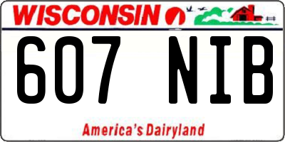 WI license plate 607NIB