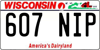 WI license plate 607NIP