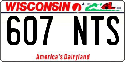 WI license plate 607NTS