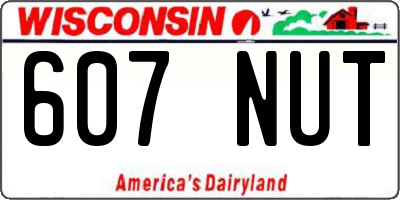 WI license plate 607NUT