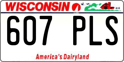 WI license plate 607PLS