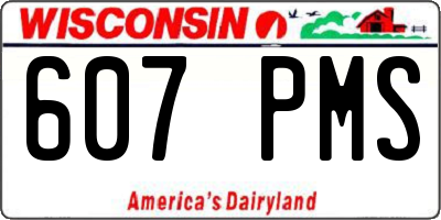 WI license plate 607PMS