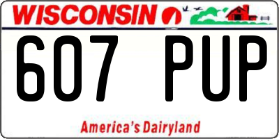 WI license plate 607PUP
