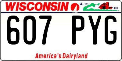 WI license plate 607PYG