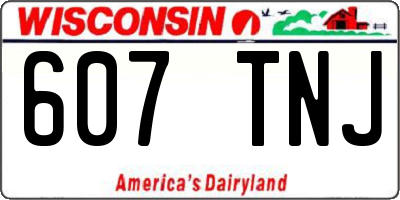 WI license plate 607TNJ