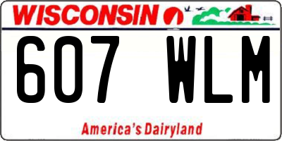 WI license plate 607WLM
