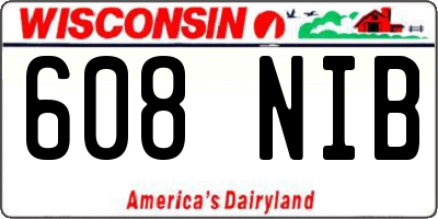 WI license plate 608NIB
