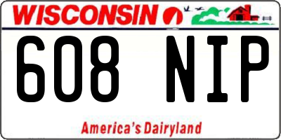 WI license plate 608NIP