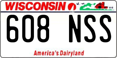 WI license plate 608NSS