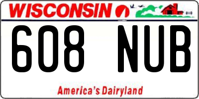 WI license plate 608NUB