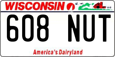 WI license plate 608NUT