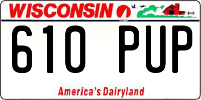WI license plate 610PUP