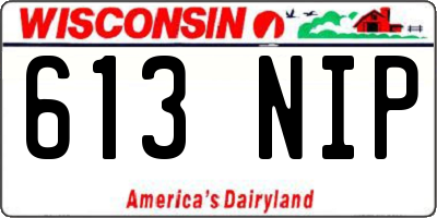 WI license plate 613NIP