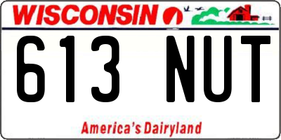 WI license plate 613NUT