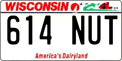 WI license plate 614NUT