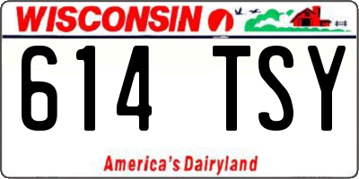 WI license plate 614TSY