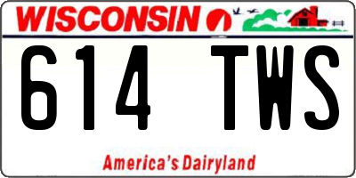 WI license plate 614TWS